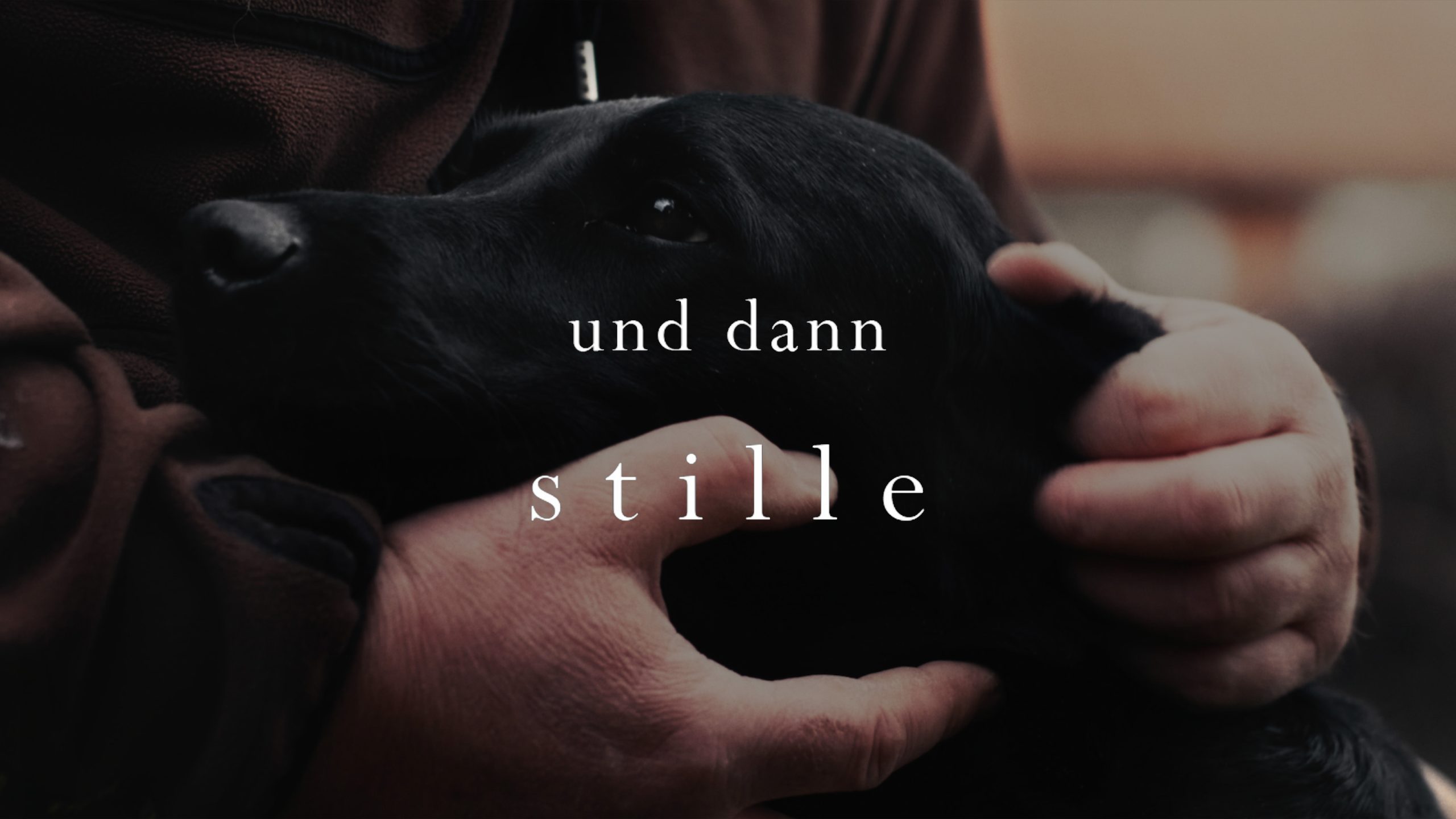 Und dann Stille