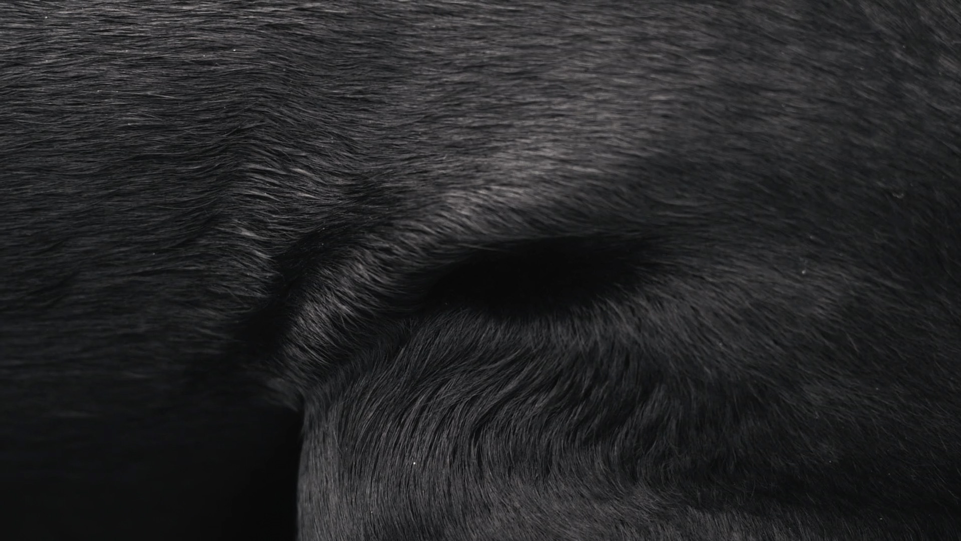 UDS_still_6